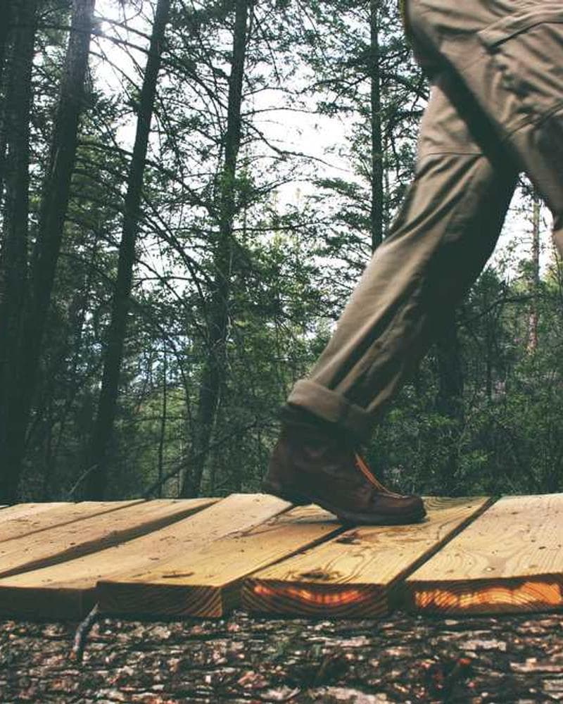 Image of a modern library for the Archive section.